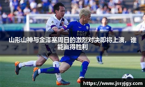 九游会·(j9)官方网站